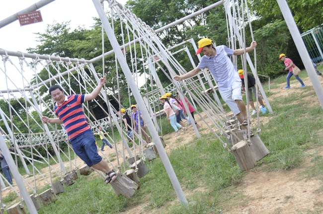 丰高团体出游